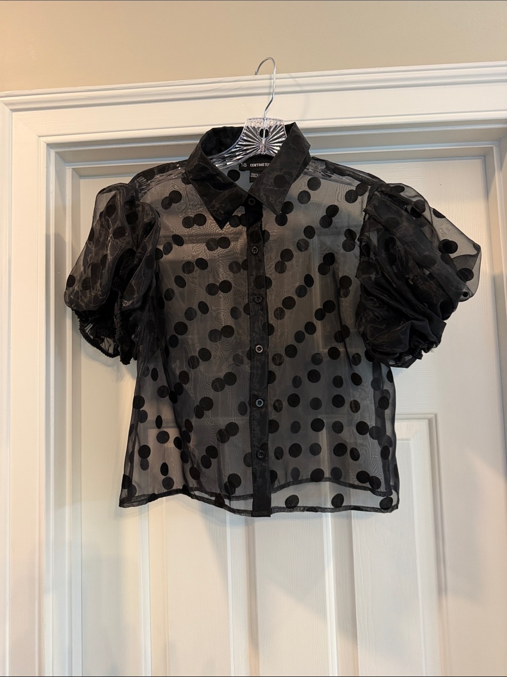 Sheer Black Polka Dot Puff Sleeve Blouse